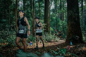 BIB: 
                            <button type="button" onclick="openModal(26133767)" class="btn btn-primary btn-sm float-right btn-popup" data-toggle="modal" data-target=".modal-high-quality">
                        <i class="fas fa-shopping-cart"></i> Add to Cart
                    </button>
                                            <button type="button" onclick="isThisMe(26133767, true)" class="btn btn-success btn-sm float-right btn-popup btn-isme hidden" data-toggle="tooltip" data-placement="bottom" title="นี่คือรูปของคุณใช่ไหม คลิกที่นี่เพื่อเอาเข้าอัลบั้ม">
                        <i class="fas fa-plus"></i> Add to album
                    </button>
                    <button type="button" onclick="isThisMe(26133767, false)" class="btn btn-warning btn-sm float-right btn-popup btn-isnotme hidden">
                        <i class="fas fa-ban"></i> Remove from album
                    </button>